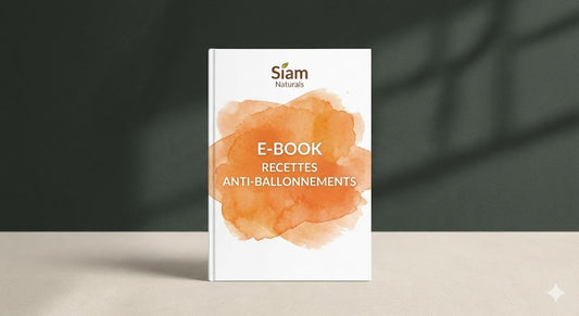 EBOOK RECETTES ANTI BALLONEMENTS